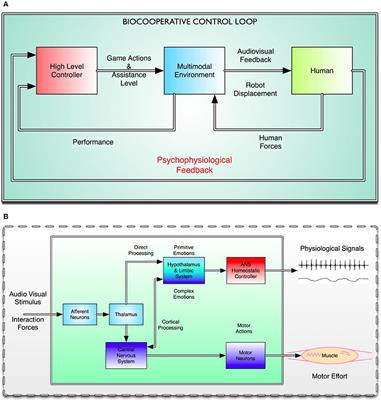 Improving Challenge/Skill Ratio in a Multimodal Interface by Simultaneously Adapting Game Difficulty and Haptic Assistance through Psychophysiological and Performance Feedback
